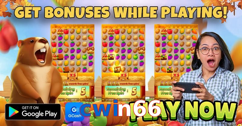 cwin66