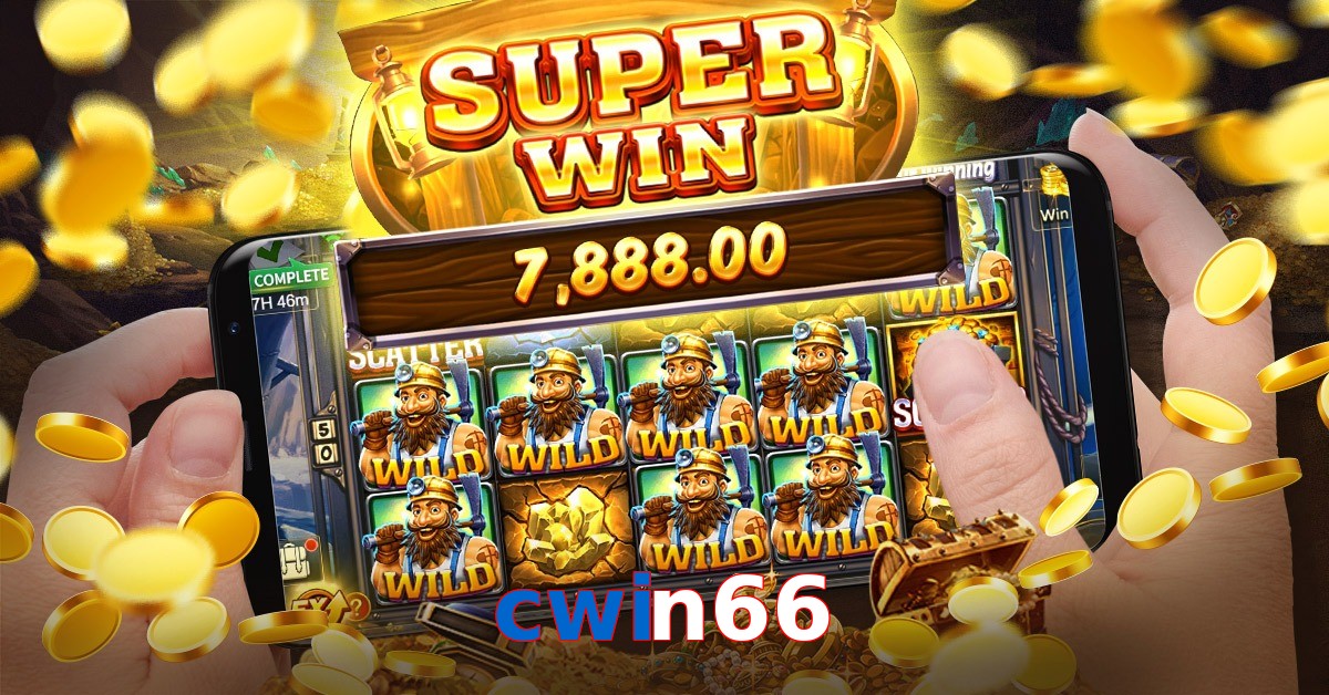 cwin66