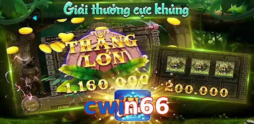 cwin66